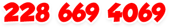 228 669 4069